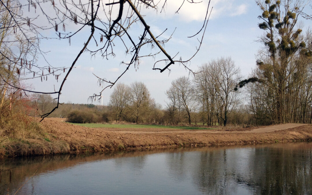 Natür­licher Wasser­rück­halt