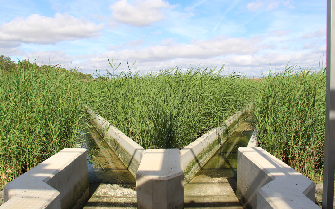 Niederschlags­wasser­behandlung