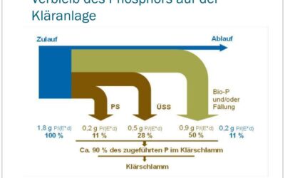 Was ist eigentlich Phosphor?